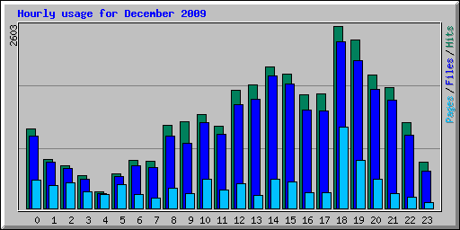 Hourly usage for December 2009