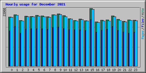 Hourly usage for December 2021