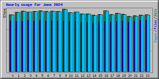 Hourly usage for June 2024