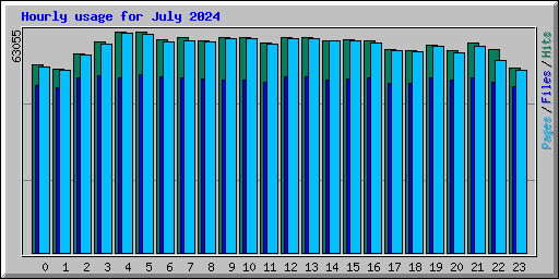 Hourly usage for July 2024