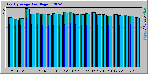 Hourly usage for August 2024