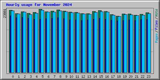 Hourly usage for November 2024