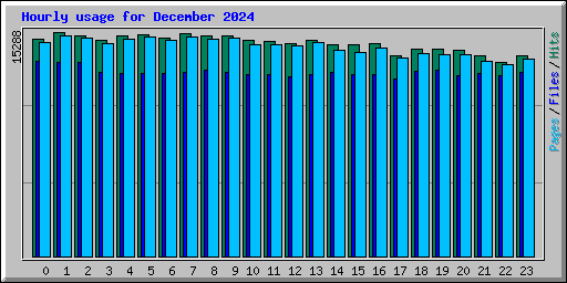 Hourly usage for December 2024