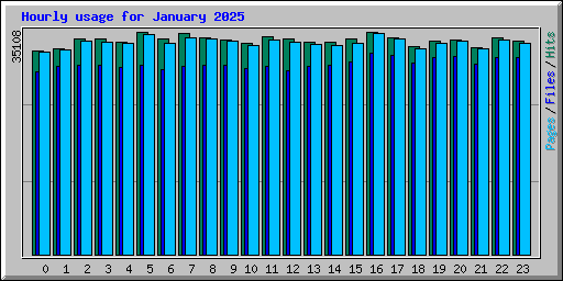 Hourly usage for January 2025