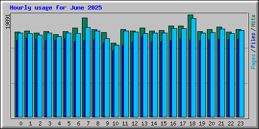 Hourly usage for June 2025