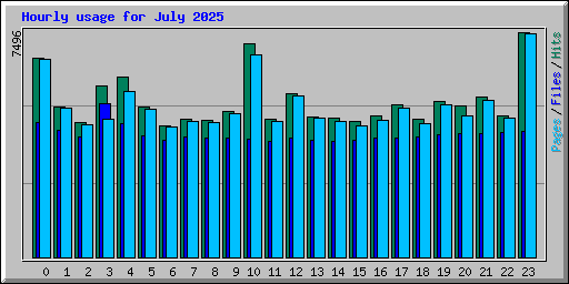 Hourly usage for July 2025