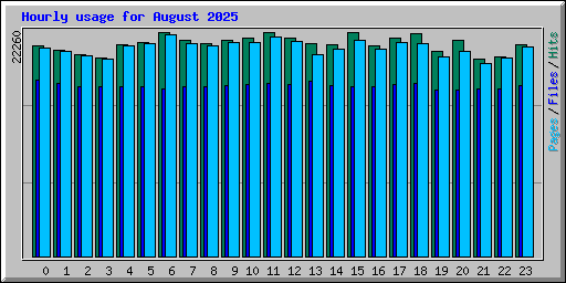 Hourly usage for August 2025