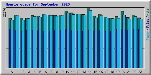 Hourly usage for September 2025