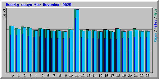 Hourly usage for November 2025