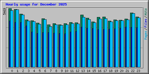 Hourly usage for December 2025