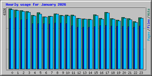 Hourly usage for January 2026
