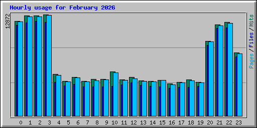 Hourly usage for February 2026