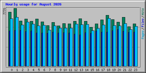 Hourly usage for August 2026